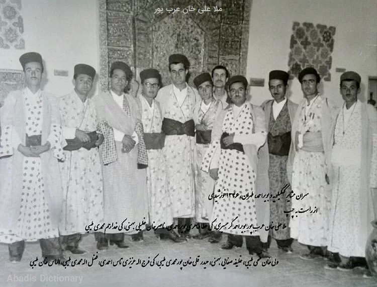ملا علی خان عرب پور